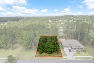 Discover the world of luxury living with this exquisite piece of on Southern Hills Plantation Club in Florida - for sale on GolfHomes.com, golf home, golf lot