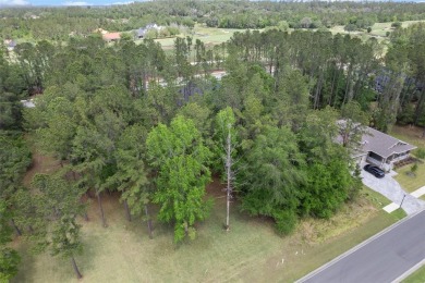 Discover the world of luxury living with this exquisite piece of on Southern Hills Plantation Club in Florida - for sale on GolfHomes.com, golf home, golf lot