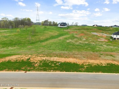 Don't miss this fantastic opportunity to purchase this wonderful on Tennessee National Golf Club in Tennessee - for sale on GolfHomes.com, golf home, golf lot