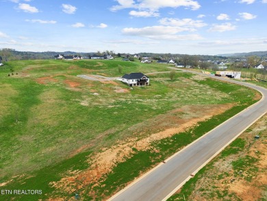 Don't miss this fantastic opportunity to purchase this wonderful on Tennessee National Golf Club in Tennessee - for sale on GolfHomes.com, golf home, golf lot