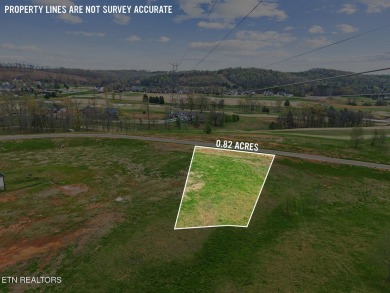 Don't miss this fantastic opportunity to purchase this wonderful on Tennessee National Golf Club in Tennessee - for sale on GolfHomes.com, golf home, golf lot