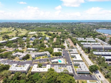 Welcome to this 1-bedroom, 1-bath oasis in Tarpon Springs on Tarpon Springs Golf Course in Florida - for sale on GolfHomes.com, golf home, golf lot