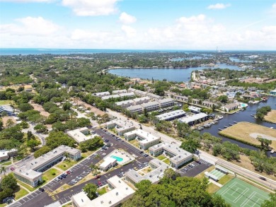 Welcome to this 1-bedroom, 1-bath oasis in Tarpon Springs on Tarpon Springs Golf Course in Florida - for sale on GolfHomes.com, golf home, golf lot