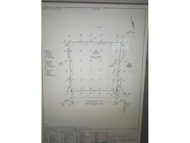 The last golf course lot available in Pine Lakes Golf Club on The Grand Club - Pine Lakes Course in Florida - for sale on GolfHomes.com, golf home, golf lot