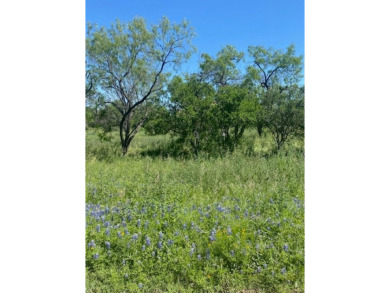Level Lot in Beautiful Horseshoe Bay West - Prime Location! on Ram Rock Golf Course in Texas - for sale on GolfHomes.com, golf home, golf lot