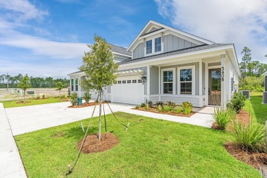 Welcome to The Villas at Longleaf Park in the Watersound Origins on Origins Golf Club in Florida - for sale on GolfHomes.com, golf home, golf lot