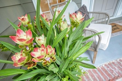 A Modern Cottage Retreat with Golf Course Views Front & Back on Canongate At Eagle Watch Golf Club in Georgia - for sale on GolfHomes.com, golf home, golf lot