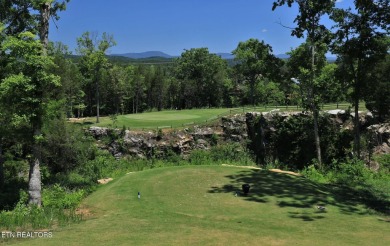 Discover this beautifully designed home with just under 2,000 sq on The Preserve 9 Hole Golf Course in Tennessee - for sale on GolfHomes.com, golf home, golf lot