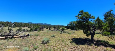 Whether you're an outdoor enthusiast or just want to carve out on  in New Mexico - for sale on GolfHomes.com, golf home, golf lot