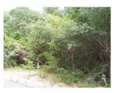 Great views. Golf course homesite overlooking the 2nd green on Bald Head Island Golf Club in North Carolina - for sale on GolfHomes.com, golf home, golf lot