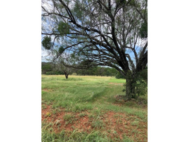 This is a nice lot that backs up to The Hills, adding lots of on Ram Rock Golf Course in Texas - for sale on GolfHomes.com, golf home, golf lot