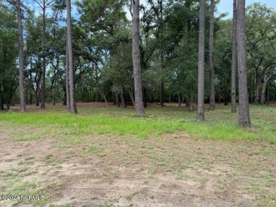 Easy to picture your dream home on this gorgeous, sprawling .93 on South Harbour Golf Links in North Carolina - for sale on GolfHomes.com, golf home, golf lot