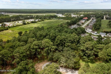 Easy to picture your dream home on this gorgeous, sprawling .93 on South Harbour Golf Links in North Carolina - for sale on GolfHomes.com, golf home, golf lot