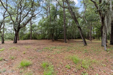 Easy to picture your dream home on this gorgeous, sprawling .93 on South Harbour Golf Links in North Carolina - for sale on GolfHomes.com, golf home, golf lot