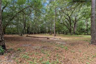 Easy to picture your dream home on this gorgeous, sprawling .93 on South Harbour Golf Links in North Carolina - for sale on GolfHomes.com, golf home, golf lot