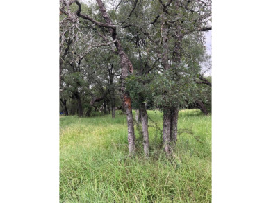 Beautiful lot among gorgeous homes in Horseshoe Bay West! Lost on Ram Rock Golf Course in Texas - for sale on GolfHomes.com, golf home, golf lot