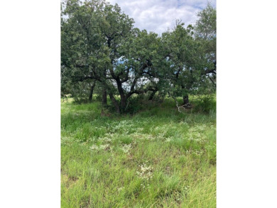 Enjoy the views from this lot on Grandview! Note, the city will on Ram Rock Golf Course in Texas - for sale on GolfHomes.com, golf home, golf lot