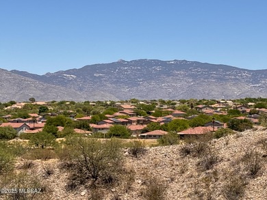 Gorgeous 3BD/2BA home on oversized corner lot in desirable Racho on Del Lago Golf Club in Arizona - for sale on GolfHomes.com, golf home, golf lot