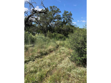 This oversized lot offers elevated views of the surrounding hill on Ram Rock Golf Course in Texas - for sale on GolfHomes.com, golf home, golf lot