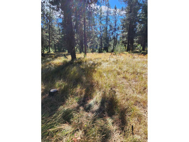 BUILD YOUR DREAM HOME in Jug Mountain! No need to install well on Jug Mountain Ranch Golf Course in Idaho - for sale on GolfHomes.com, golf home, golf lot