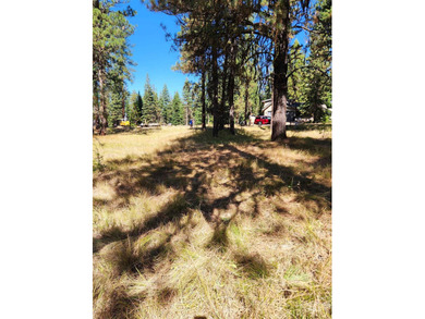 BUILD YOUR DREAM HOME in Jug Mountain! No need to install well on Jug Mountain Ranch Golf Course in Idaho - for sale on GolfHomes.com, golf home, golf lot