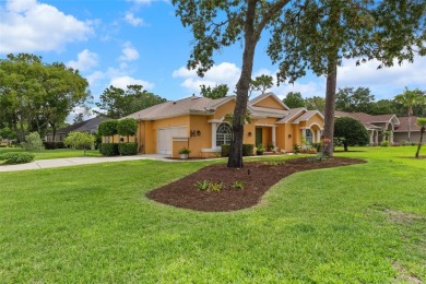 Stunning Custom-Built Palmwood Courtyard Home Nestled In The on Silverthorn Country Club in Florida - for sale on GolfHomes.com, golf home, golf lot