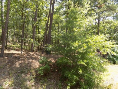 This corner lot is located at one of the most convenient areas on Coronado Golf Course in Arkansas - for sale on GolfHomes.com, golf home, golf lot
