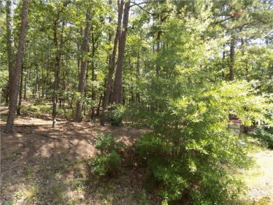 This corner lot is located at one of the most convenient areas on Coronado Golf Course in Arkansas - for sale on GolfHomes.com, golf home, golf lot