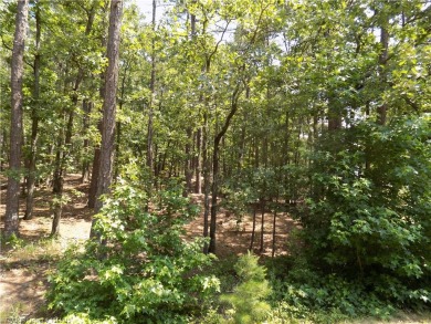 This corner lot is located at one of the most convenient areas on Coronado Golf Course in Arkansas - for sale on GolfHomes.com, golf home, golf lot