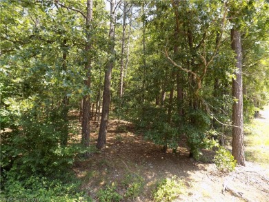 This corner lot is located at one of the most convenient areas on Coronado Golf Course in Arkansas - for sale on GolfHomes.com, golf home, golf lot