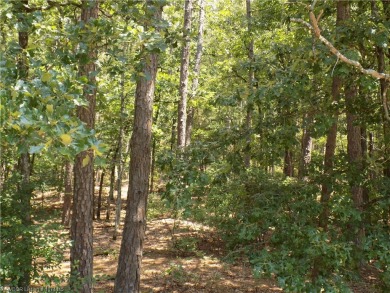 This corner lot is located at one of the most convenient areas on Coronado Golf Course in Arkansas - for sale on GolfHomes.com, golf home, golf lot
