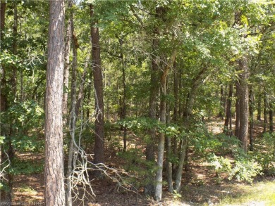 This corner lot is located at one of the most convenient areas on Coronado Golf Course in Arkansas - for sale on GolfHomes.com, golf home, golf lot