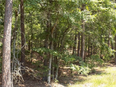 This corner lot is located at one of the most convenient areas on Coronado Golf Course in Arkansas - for sale on GolfHomes.com, golf home, golf lot