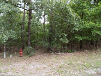 This beautiful golf course lot is on the 11th green on the on Coronado Golf Course in Arkansas - for sale on GolfHomes.com, golf home, golf lot