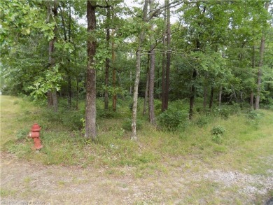 Ok, let's talk about a flat corner lot, ready for a variety of on Balboa Golf Course in Arkansas - for sale on GolfHomes.com, golf home, golf lot