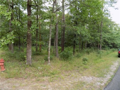 Ok, let's talk about a flat corner lot, ready for a variety of on Balboa Golf Course in Arkansas - for sale on GolfHomes.com, golf home, golf lot