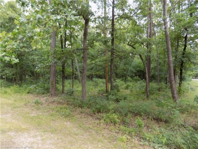 Ok, let's talk about a flat corner lot, ready for a variety of on Balboa Golf Course in Arkansas - for sale on GolfHomes.com, golf home, golf lot