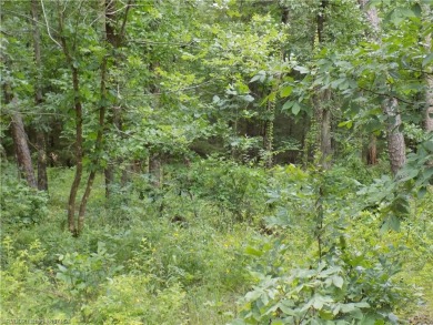 Ok, let's talk about a flat corner lot, ready for a variety of on Balboa Golf Course in Arkansas - for sale on GolfHomes.com, golf home, golf lot