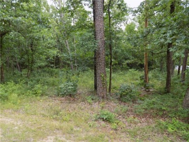 Ok, let's talk about a flat corner lot, ready for a variety of on Balboa Golf Course in Arkansas - for sale on GolfHomes.com, golf home, golf lot