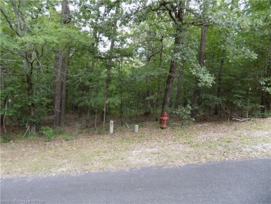 Ok, let's talk about a flat corner lot, ready for a variety of on Balboa Golf Course in Arkansas - for sale on GolfHomes.com, golf home, golf lot