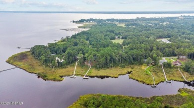 Unmatched Waterfront Opportunity in New Bern, NC

Discover the on Harbour Point Golf Club in North Carolina - for sale on GolfHomes.com, golf home, golf lot