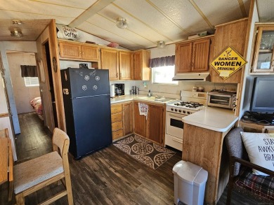LEXINGTON'S LITTLE SECRET-LEXINGTON RV RESORT offers affordable on Lakeview Hills Country Club and Resort  in Michigan - for sale on GolfHomes.com, golf home, golf lot