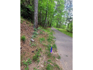 HUGE Price Drop! Expansive 10-Acre Lakefront Lot in Lake on The Highlands Course at Lake Arrowhead in Georgia - for sale on GolfHomes.com, golf home, golf lot