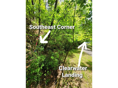 HUGE Price Drop! Expansive 10-Acre Lakefront Lot in Lake on The Highlands Course at Lake Arrowhead in Georgia - for sale on GolfHomes.com, golf home, golf lot