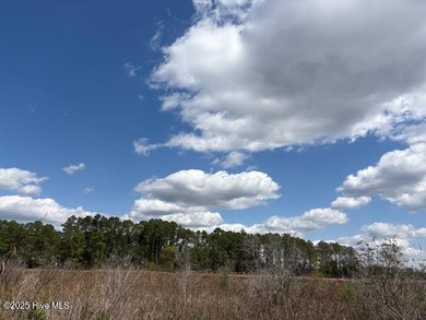 Discover the perfect opportunity to build your dream home on on Harbour Point Golf Club in North Carolina - for sale on GolfHomes.com, golf home, golf lot