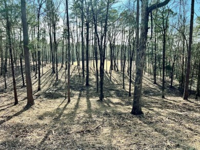 This is a great building lot on the Second fairway on Diamante' on Diamante Golf and Country Club in Arkansas - for sale on GolfHomes.com, golf home, golf lot