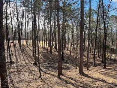 This is a great building lot on the Second fairway on Diamante' on Diamante Golf and Country Club in Arkansas - for sale on GolfHomes.com, golf home, golf lot