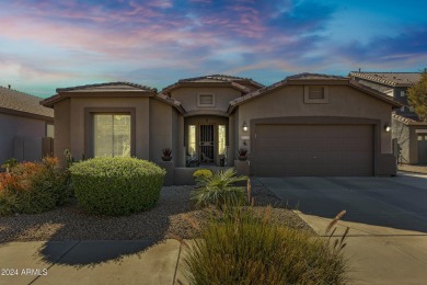 You found the best Queen Creek Gem! This 3 bed, 2 bath, 2 car on Las Colinas Golf Club in Arizona - for sale on GolfHomes.com, golf home, golf lot