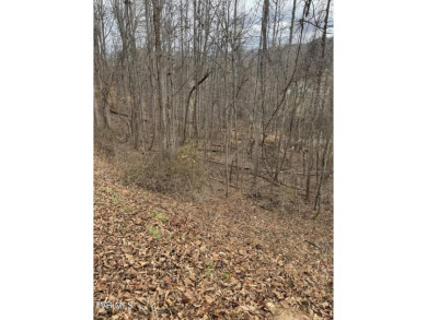 Beautiful lot ready to build your dream home--enjoy the on Buffalo Valley Golf Course in Tennessee - for sale on GolfHomes.com, golf home, golf lot