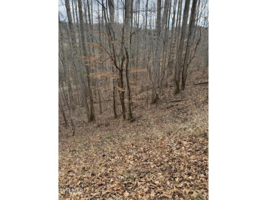 Beautiful lot ready to build your dream home--enjoy the on Buffalo Valley Golf Course in Tennessee - for sale on GolfHomes.com, golf home, golf lot